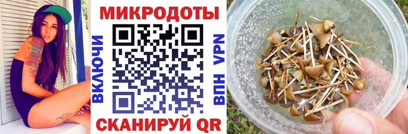Купить закладки  Михайлов  Галлюциногенные грибы Psilocybe 